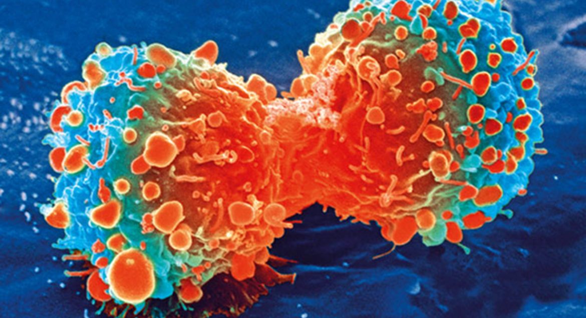 Cancer Viruses