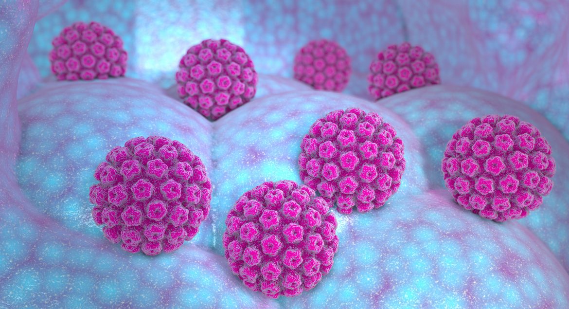 Human papillomavirus infection. Virus. HPV is the most common sexually transmitted infection globally. HPV infection is caused by human papillomavirus, a DNA virus from the papillomavirus family, 3d render