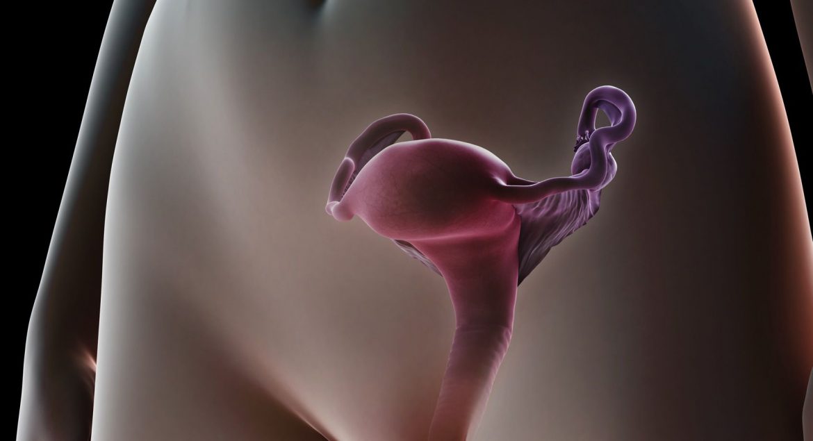 Vaginal Uniqueness
